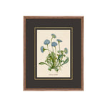 "Figures of Flora" Framed Art Print ARTWORK - framed art Wendover Art Group Figures of Flora 3