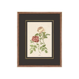 Figures of Flora 5 ARTWORK - framed art Wendover Art Group