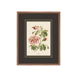 "Figures of Flora" Framed Art Print ARTWORK - framed art Wendover Art Group Figures of Flora 8