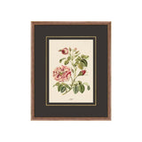 Figures of Flora 8 ARTWORK - framed art Wendover Art Group