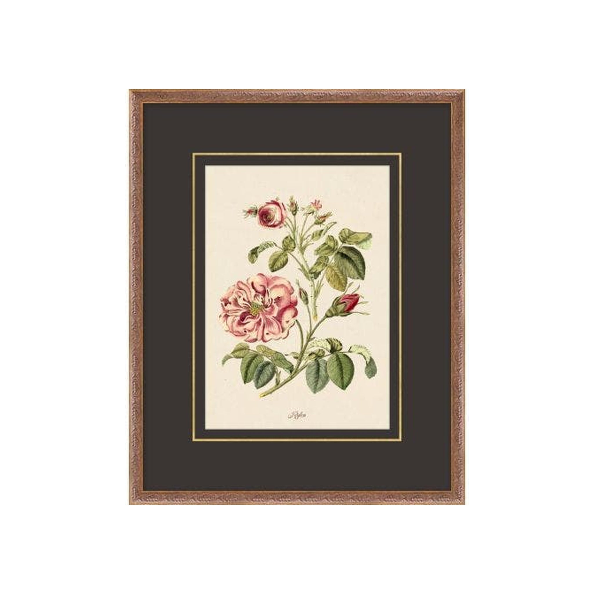 Figures of Flora 8 ARTWORK - framed art Wendover Art Group