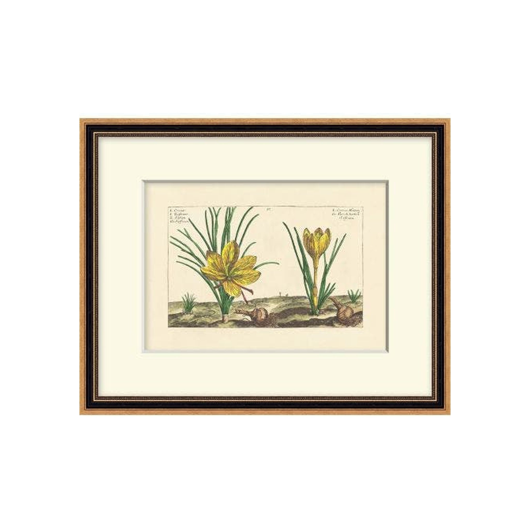 Heritage Blooms 1 ARTWORK - framed art Wendover Art Group