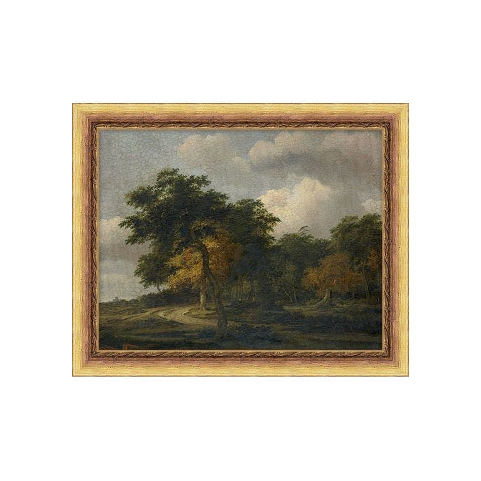 The Silent Grove ARTWORK - framed art Wendover Art Group