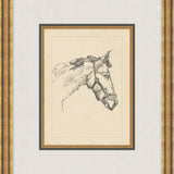"Equine Sketch" Framed Art Print