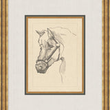 "Equine Sketch" Framed Art Print