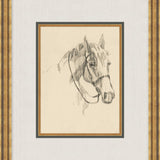"Equine Sketch" Framed Art Print