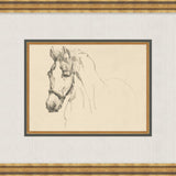"Equine Sketch" Framed Art Print