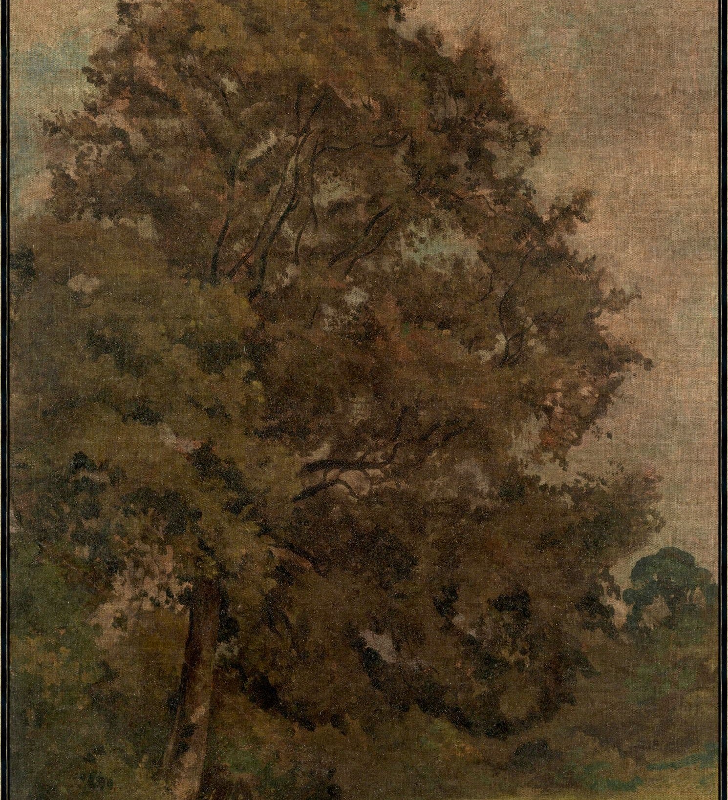 "Gentle Ash" Framed Art Print ARTWORK - framed art Wendover Art Group