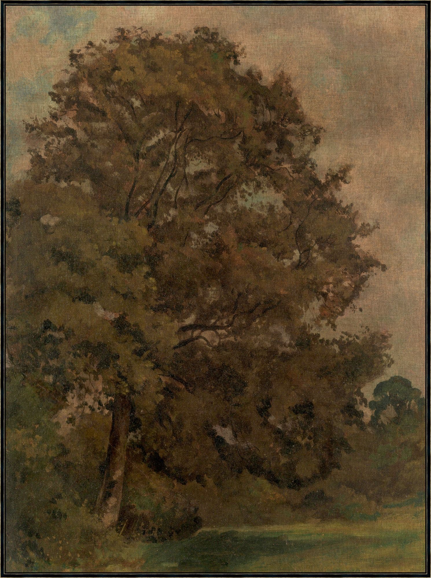 "Gentle Ash" Framed Art Print ARTWORK - framed art Wendover Art Group
