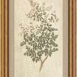 "Vintage Wildflower" Framed Art Print ARTWORK - framed art Wendover Art Group