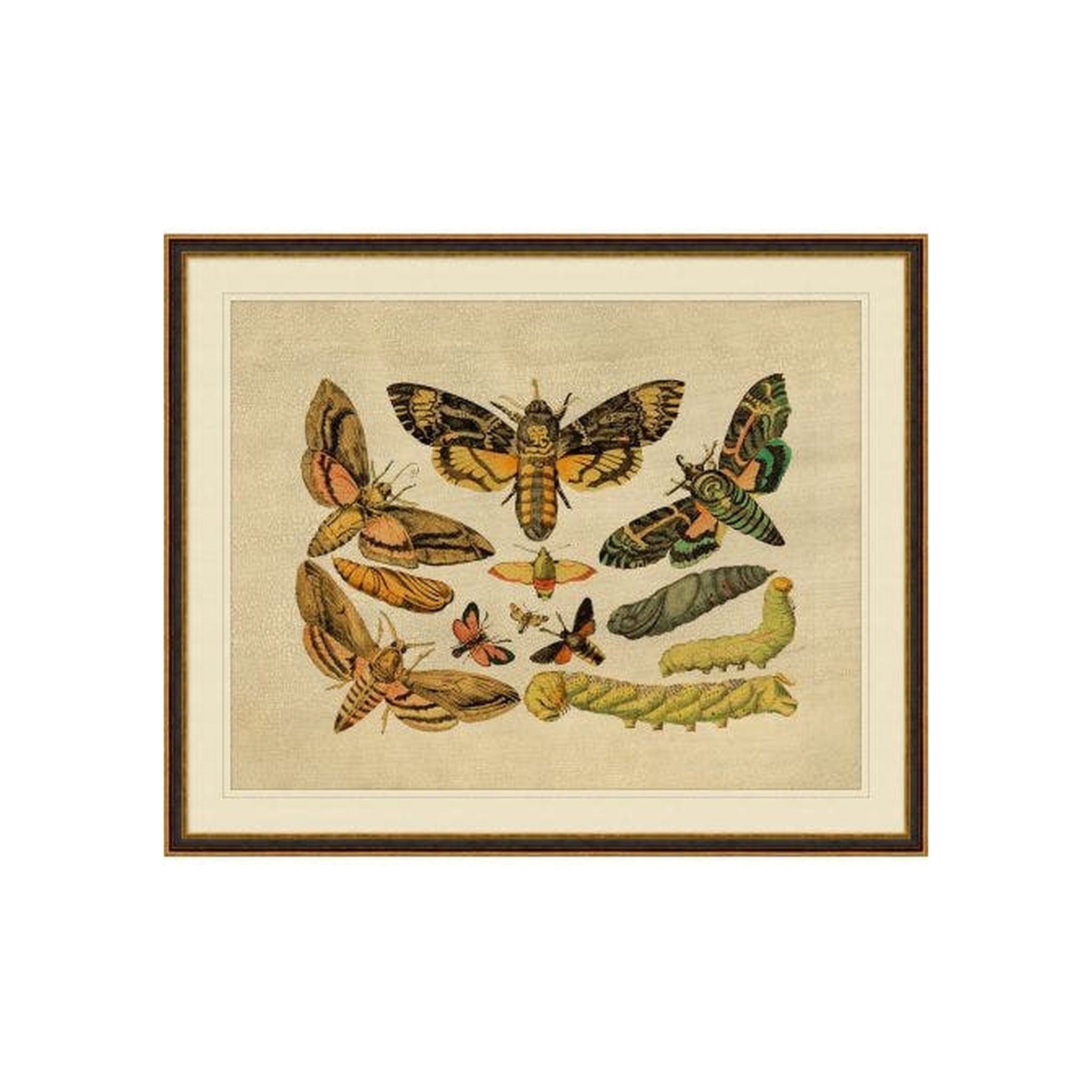 Winged Sequence 1 ARTWORK - framed art Wendover Art Group