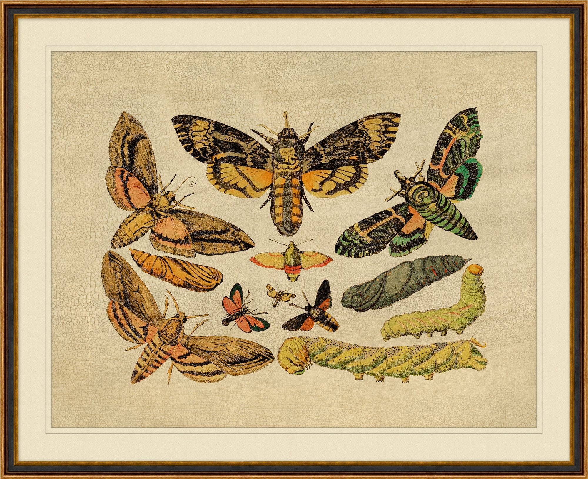 "Winged Sequence" Framed Art Print ARTWORK - framed art Wendover Art Group