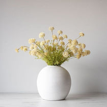 Faux Melaleuca Cream Stem faux stem Abigail Ahern (Aesthetic Movement)