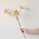 Faux Cream Pom Pom Spray faux stem Indaba