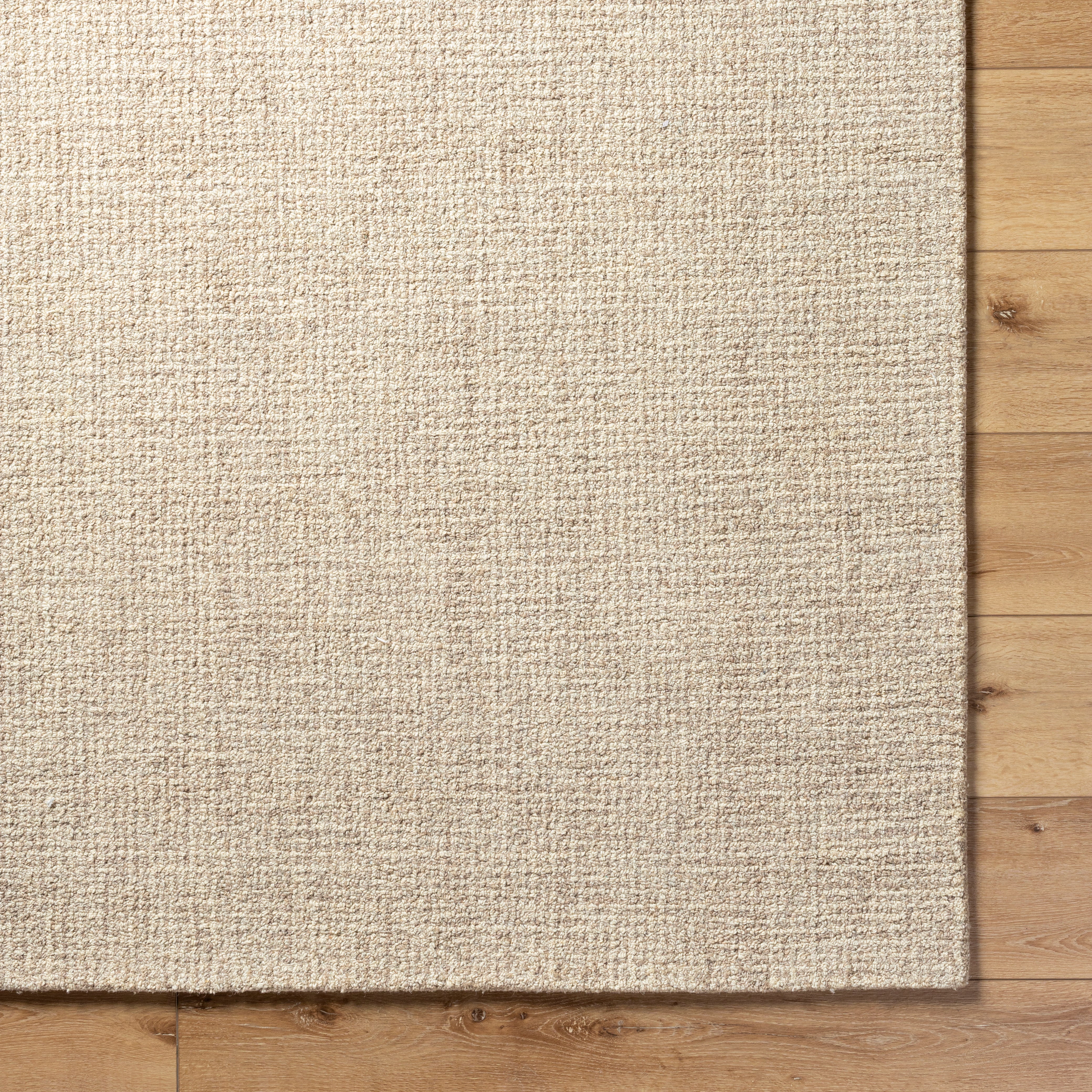 Aiden Tan Rug RUGS - wool Surya