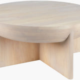 Amari Coffee Table FURNITURE - coffee table Surya