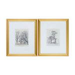 "Whitefield" Framed Art Set ART - Framed Art Surya