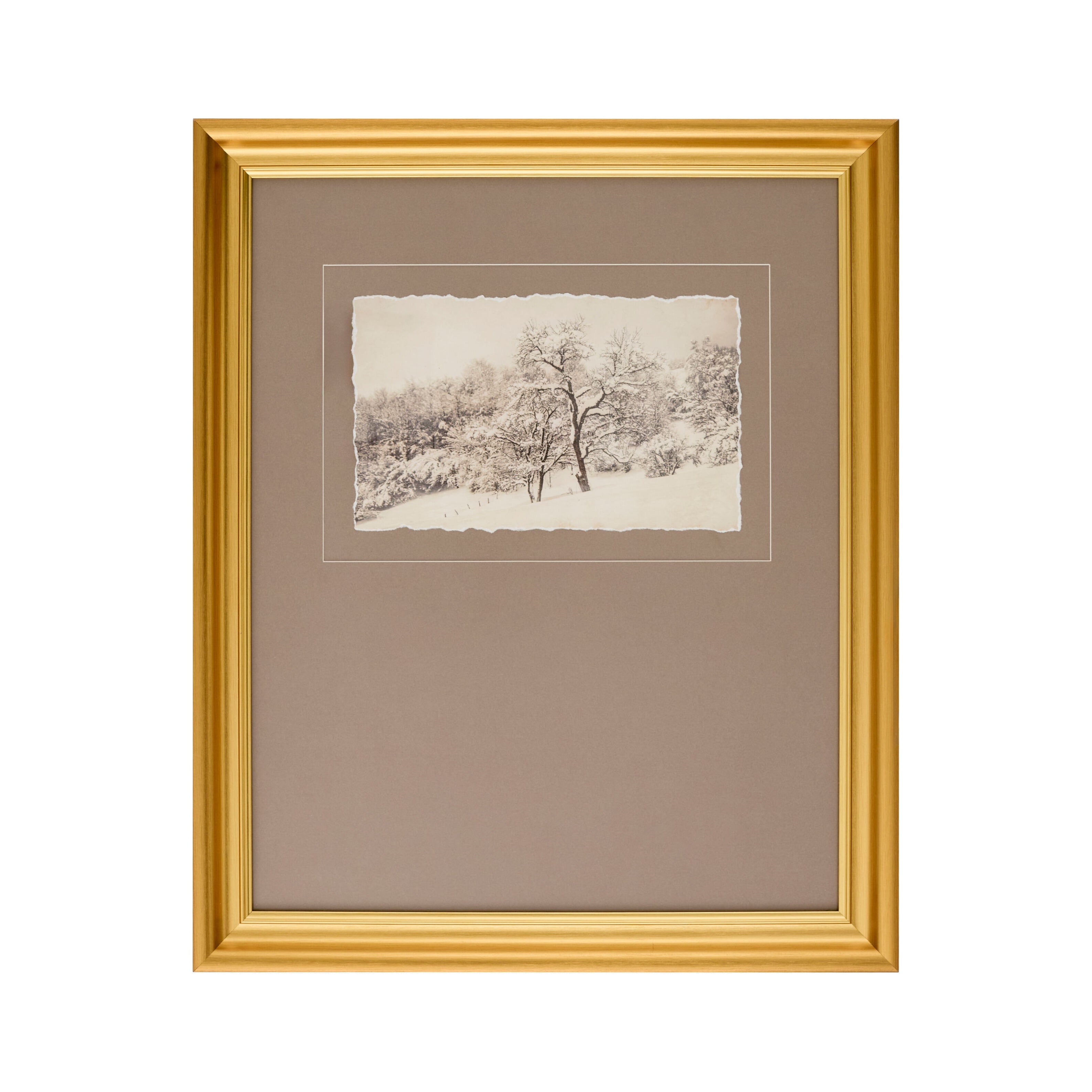 "Hushed Canopy" Framed Art Print ART - Framed Art Surya