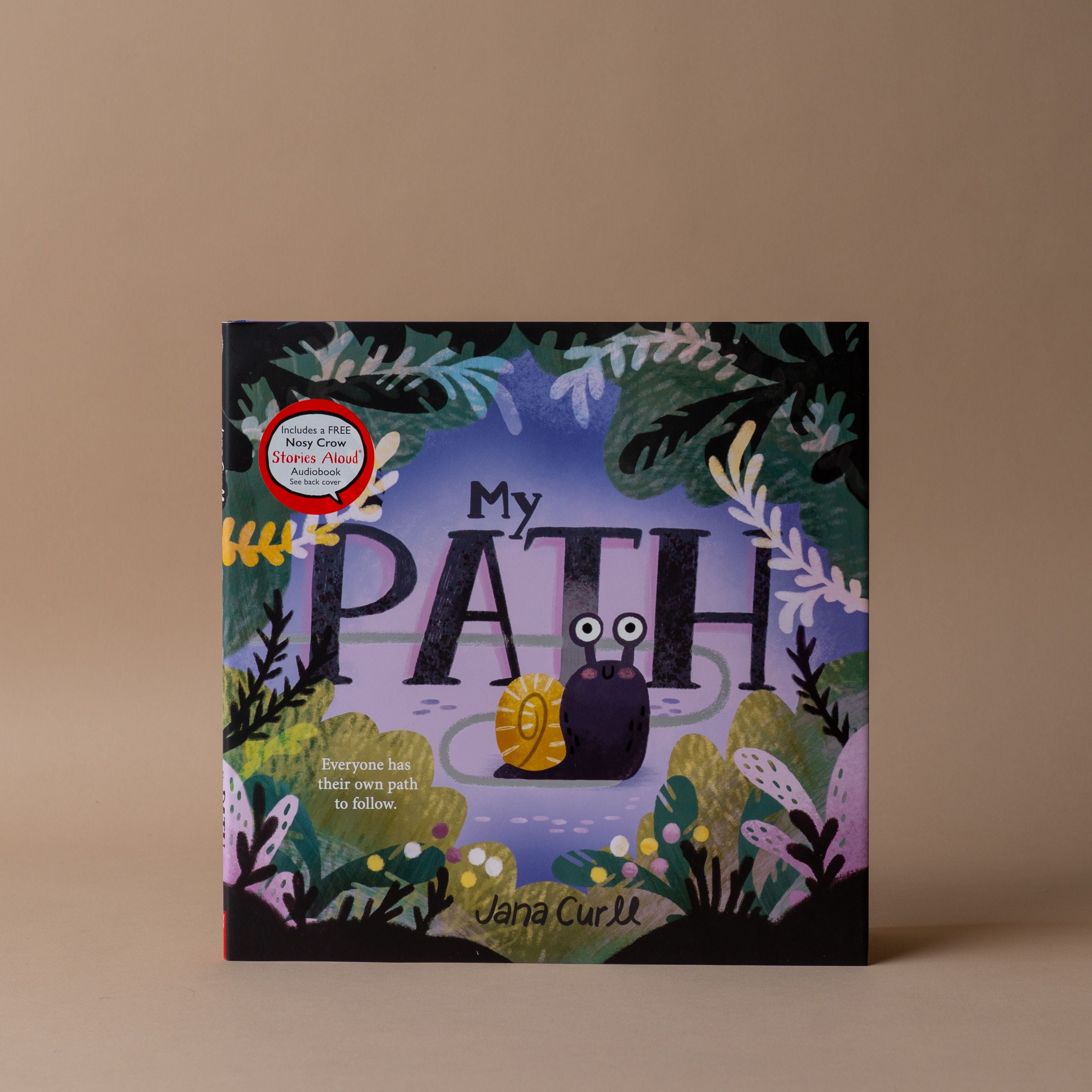 "My Path" by Jana Curll FINNBIRD - book Hachette Book Group