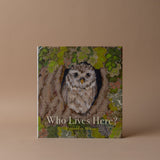 "Who Lives Here?" by Alexandra Milton FINNBIRD - book Hachette Book Group