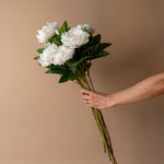 Faux Ivory Peony Stem faux stem Tri W Imports