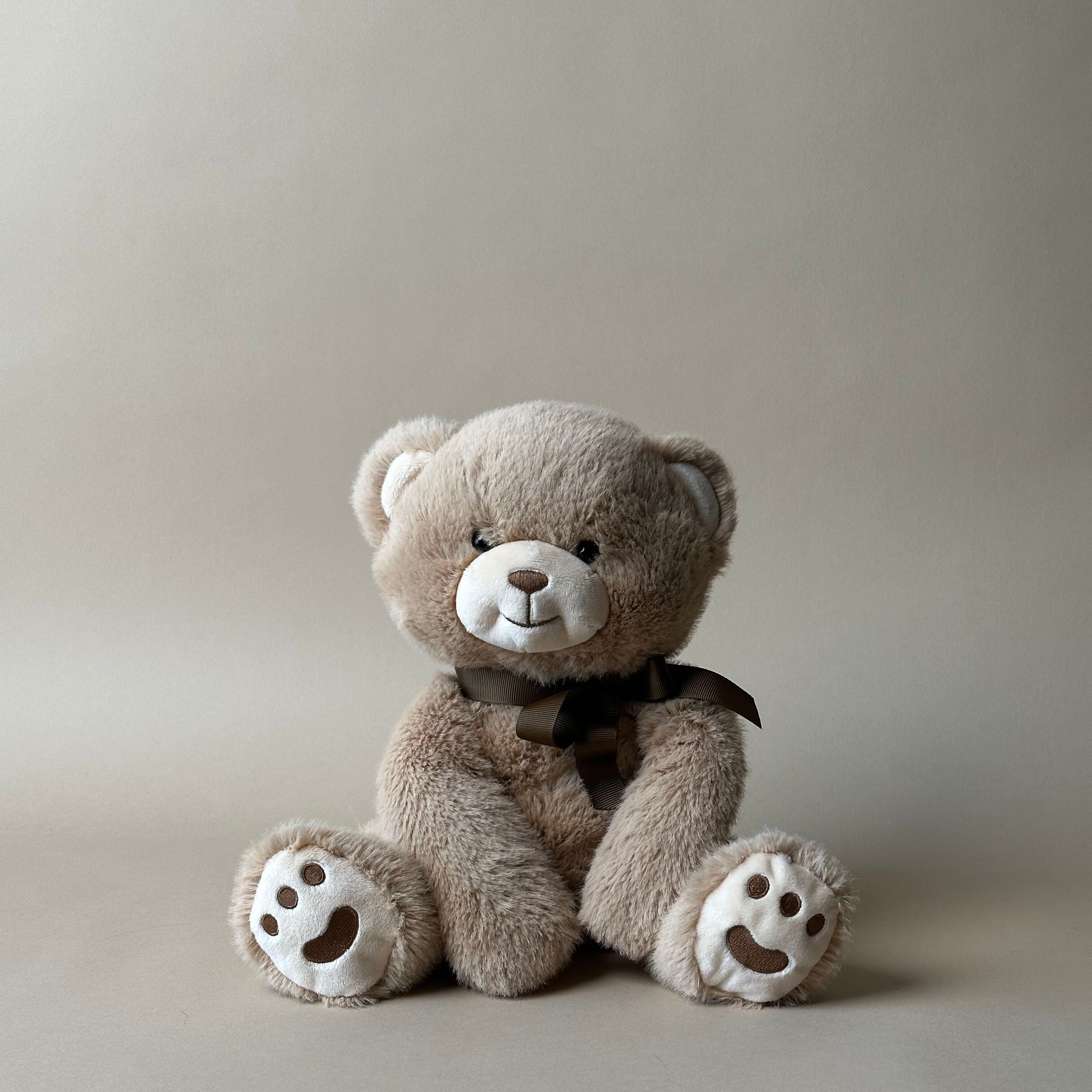 Bently the Bear FINNBIRD - stuffed toy The Petting Zoo (Faire)