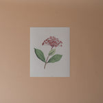 Floral Art Print ARTWORK - print Pink Lemon Decor (Faire)