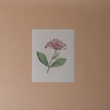 Floral Art Print ARTWORK - print Pink Lemon Decor (Faire)
