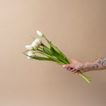 Faux White Double Peony Tulip Bundle faux stem Tri W Imports