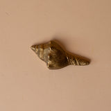 Brass Conch Shell Paperweight