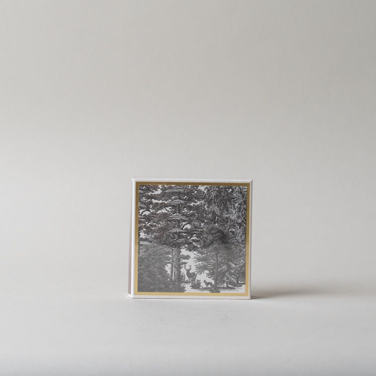 Winter Safety Matches CHRISTMAS 2025 Archivist Gallery (Faire) Enchanted Forest