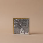 Decorative Safety Matches matches Archivist Gallery (Faire) Enchanted Forest