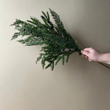 Navy Plum Berry Cypress Stem CHRISTMAS 2026 Luxe B Co (Faire)
