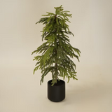 Faux Weeping Norfolk Pine Tree