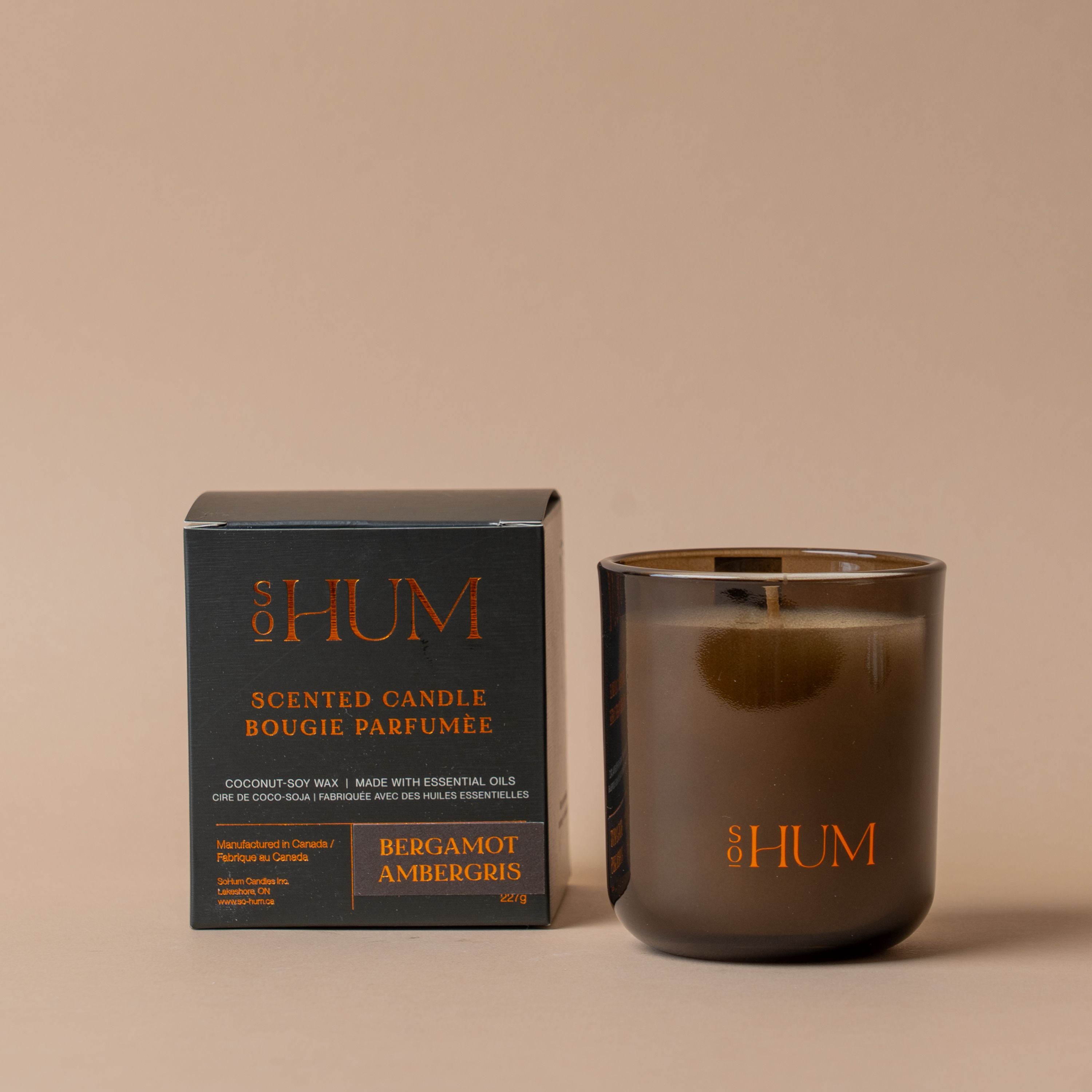 Coconut Soy Candle by SoHum candle SoHum (Faire)