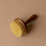 Scrub Brush