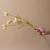 Faux Cream Dandelion Spray faux stem Indaba