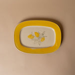 Stoneware Lemons Plate dish Creative Co-op (DYA)