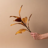 Faux Brown Magnolia Spray