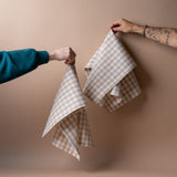 Gingham Dish Towel Set
