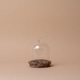 Glass Cloche with Woven Willow Base