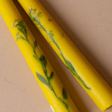 Pressed Floral Taper Candles candle Galley and Fen (Faire)