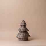 Grey Willow Tree