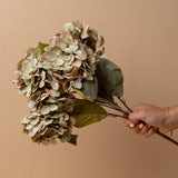 Faux Vintage Green Hydrangea Stem