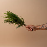 Faux Eastern White Cedar Bunch