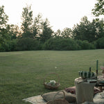Willow Gathering Basket basket Col House Designs (Faire)