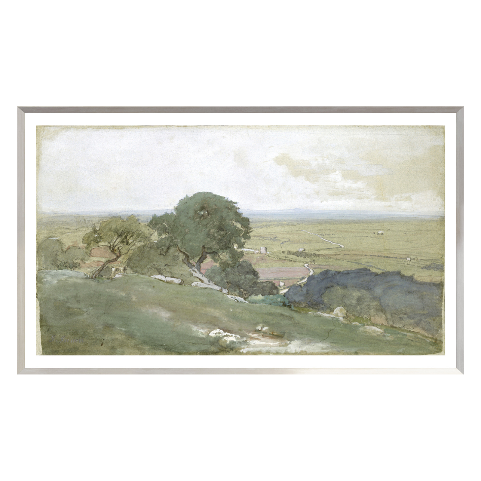 "Olive Tree Landscape" Framed Art Print