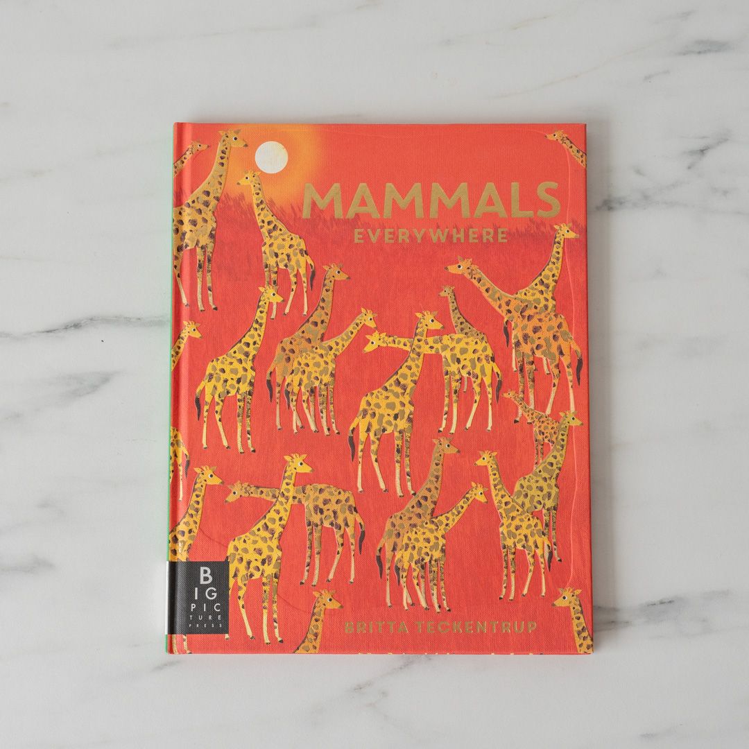 "Mammals Everywhere" by Camilla de la Bedoyere - Rug & Weave