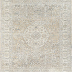Once Upon a Time Sand / Pebble No. 8 Rug RUGS - wool Surya