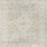 Once Upon a Time Sand / Pebble No. 8 Rug RUGS - wool Surya
